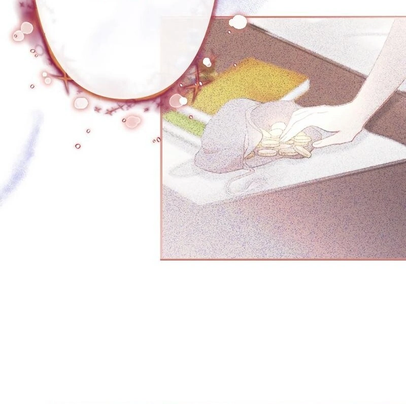 67885509 800 795 91142